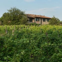 Azienda Agricola Baraccone