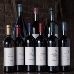 Baraccone Winery