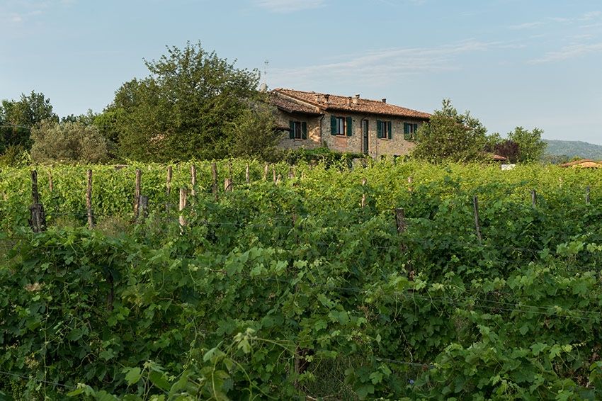 Azienda Agricola Baraccone