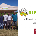 RIPRESO at Enovitis in Campo 2021