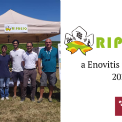 RIPRESO Operational Group at Enovitis in Campo