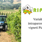RIPRESO: an opportunity to investigate the origin and degree of intra-parcel variability in the vineyards of Piacenza