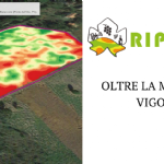 Beyond the vigour map: having identified the degree of variability in the vineyard, it is essential to identify the most suitable management method