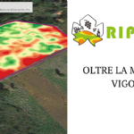 Oltre la mappa di vigore: identificato il grado di variabilità del vigneto è fondamentale identificare la modalità di gestione più idonea