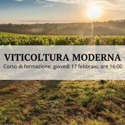 viticoltura moderna