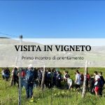 Visita in vigneto degli studenti delle scuole secondarie