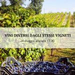 Vini diversi dagli stessi vigneti