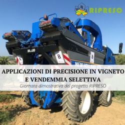 Precision vineyard applications and selective harvesting