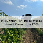 Vendemmia selettiva di precisione per valorizzare la variabilità del vigneto e contenere gli effetti del cambiamento climatico