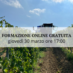 Vendemmia selettiva di precisione per valorizzare la variabilit del vigneto e contenere gli effetti del cambiamento climatico