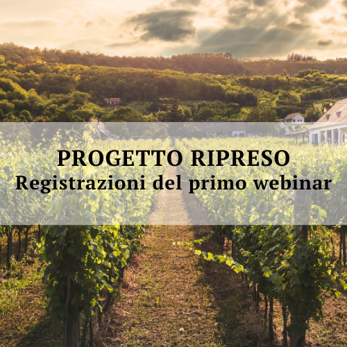 Presentazione Progetto Ripreso