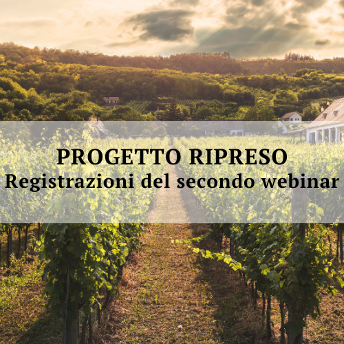 Progetto Ripreso