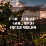 Managing within field variability through precision viticulture: Italian case studies
